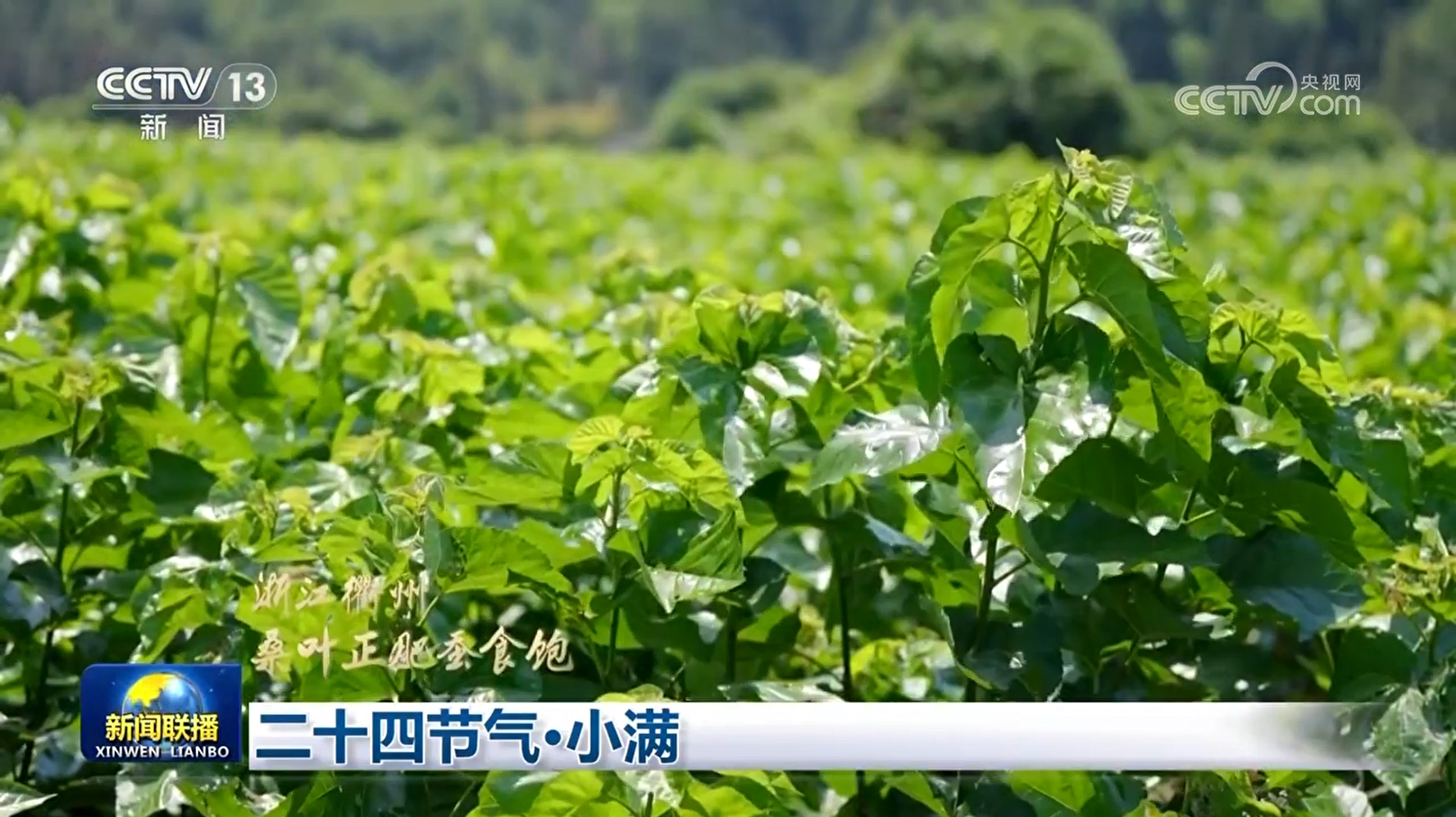 微信圖片_20240524163104 副本.jpg